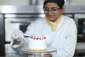 Velvet Cupcake Collection